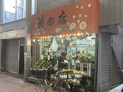 花智